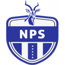 Ngezi Platinum