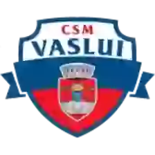 CSM Vaslui