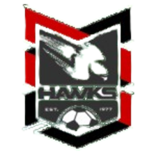 Holland Park Hawks U23