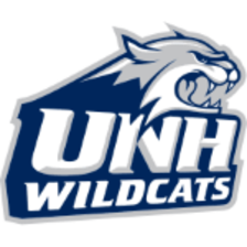 Đội bóng nữ New Hampshire Wildcats
