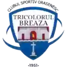 Tricolorul Breaza