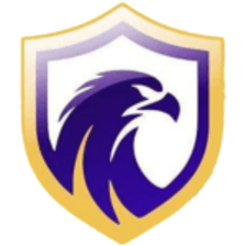Falcon FC