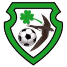 St. James Swifts (Femenino)
