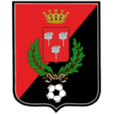 Fiorenzuola U19
