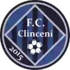 ACS FC Academia Clinceni