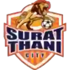 Wiang Sa Surat Thani City