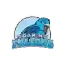 Adamson Falcons