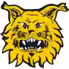 Tampereen Ilves II