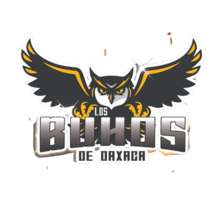 Buhos de Oaxaca