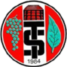 Turgutluspor
