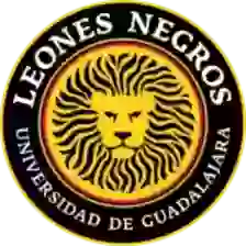 Universidad de Guadalajara