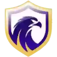 Falcon U20