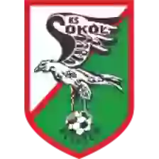 Sokol Kleczew