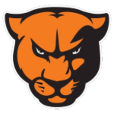 Greenville Panthers