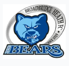 Câu lạc bộ bóng đá Broadbridge Heath