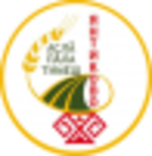 Timesh Yantikovo