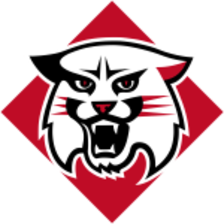 Đội bóng Wildcats Davidson (Nữ)