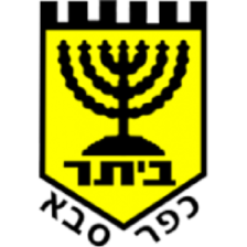 Ihud Bnei Kfar Kara