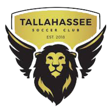 Tallahassee
