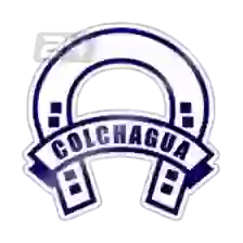 Câu lạc bộ thể thao Colchagua