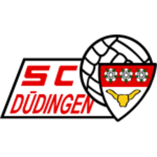Dudingen