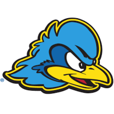 Delaware Fightin' Blue Hens