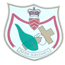 St Albans Cardiff FC