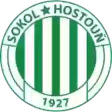 Sokol Houston