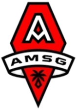 Amsg FC