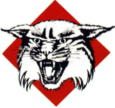 Davidson Wildcats (Women)