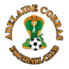 Adelaide Cobras