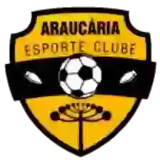Araucaria