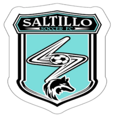 Saltillo Soccer