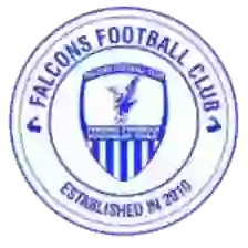 Falcons
