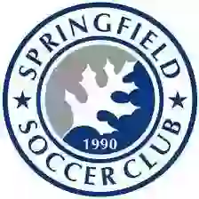 Đại diện Springfield