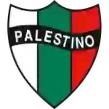 Palestino (Women)