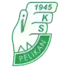 Pelikan Lowicz
