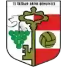 Tatran Bohunice