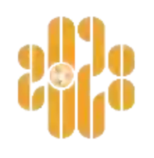 Shenzhen 2028 FC