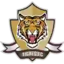 Tigres Futbol Club