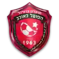 Hapoel Kaukab
