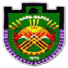 Kyrgyzaltyn