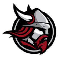 Bethany Lutheran Vikings