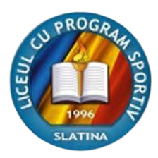 LPS Slatina U19