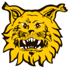Ilves Tampere III U20