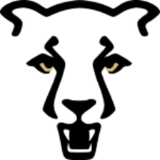 Colorado Springs Mountain Lions
