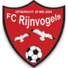 Rijnvogels