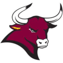 Colorado Mesa Mavericks (Nữ)
