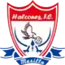 Los Halcones