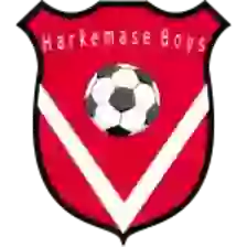 Đội bóng Harkemase